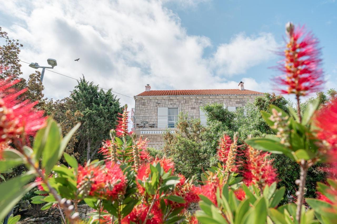 Guesthouse Kamarin Pomena Bagian luar foto